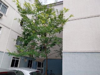 Imagem do imóvel AP90537