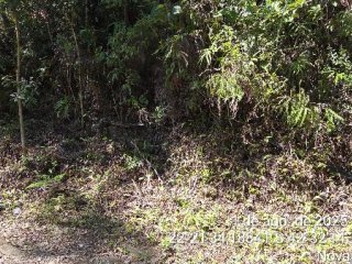 Imagem do imóvel TE76972