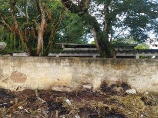 Imagem do imóvel CA18030