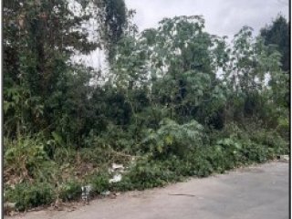 Imagem do imóvel TE07204