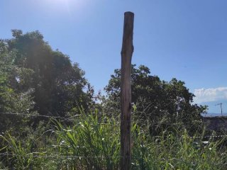 Imagem do imóvel TE81951