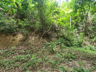 Imagem do imóvel TE82896