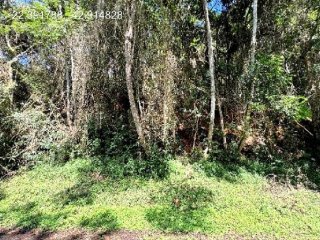 Imagem do imóvel TE53480