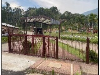 Imagem do imóvel TE66529