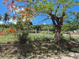 Imagem do imóvel CA56656