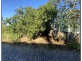 Imagem do imóvel TE74145