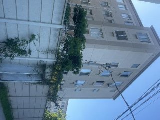 Imagem do imóvel AP70692