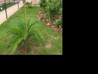 Imagem do imóvel AP70892