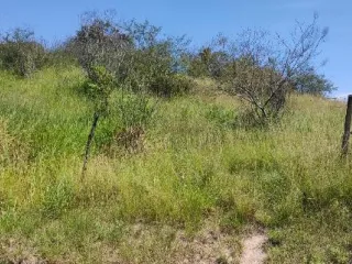 Imagem do imóvel TE95698