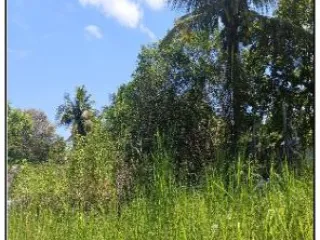 Imagem do imóvel TE21756