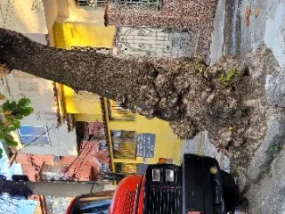 Imagem do imóvel CA07024