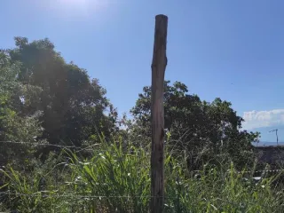 Imagem do imóvel TE85273