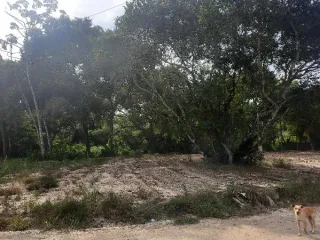 Imagem do imóvel TE26396