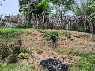 Imagem do imóvel TE66543