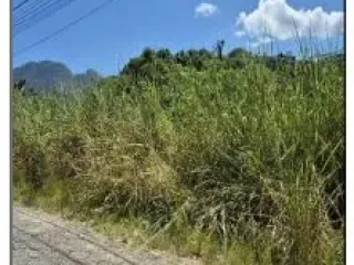 Imagem do imóvel TE57105
