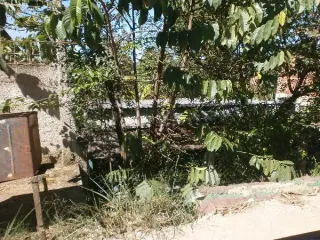 Imagem do imóvel CA03888
