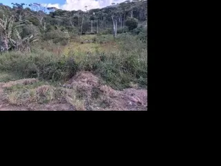 Imagem do imóvel TE61485