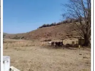 Imagem do imóvel IR95635