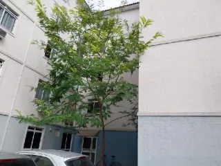 Imagem do imóvel AP89125