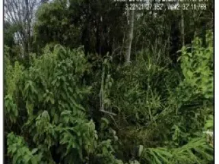 Imagem do imóvel TE65129