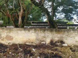 Imagem do imóvel CA81765