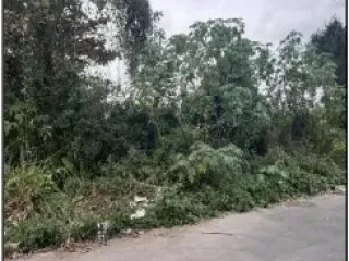 Imagem do imóvel TE16624