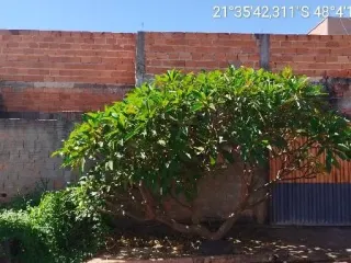 Imagem do imóvel AP94386