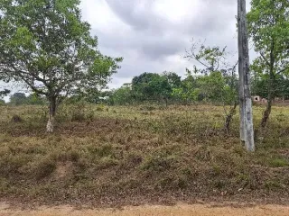 Imagem do imóvel TE37131